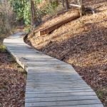 Boardwalk on the Sycamore Cove Trail