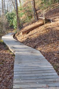 Boardwalk on the Sycamore Cove Trail