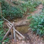 Sycamore Cove Trail Bridge