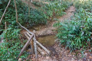 Sycamore Cove Trail Bridge