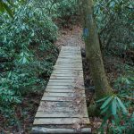 Sycamore Cove Trail Bridge