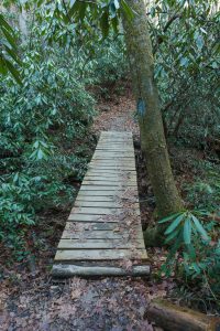 Sycamore Cove Trail Bridge