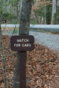 Exercise Trail Watch For Cars
