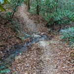 Sycamore Cove Trail Creek Crossing #1