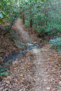 Sycamore Cove Trail Creek Crossing #1