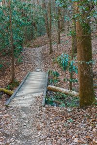 Sycamore Cove Trail Bridge