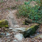 Sycamore Cove Trail Creek Crossing #3