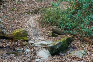 Sycamore Cove Trail Creek Crossing #3