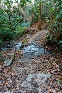 Sycamore Cove Trail Creek Crossing #4