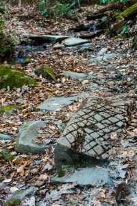 Sycamore Cove Trail Creek Crossing #5