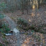 Sycamore Cove Trail Creek Crossing #6