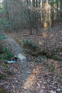 Sycamore Cove Trail Creek Crossing #6