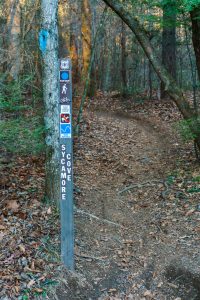 Sycamore Cove Trail Sign