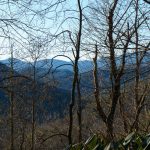 Sycamore Cove Trail Wintertime Views