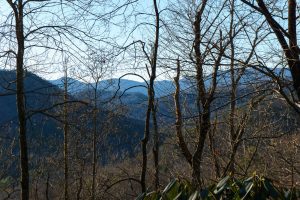 Sycamore Cove Trail Wintertime Views