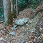 Sycamore Cove Trail Obstacles