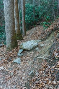 Sycamore Cove Trail Obstacles