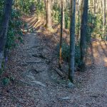 Sycamore Cove Trail Switchback