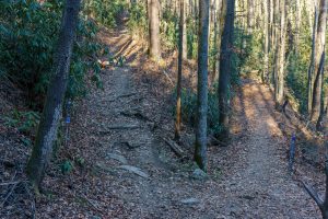 Sycamore Cove Trail Switchback