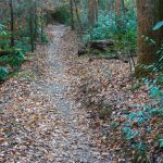 Sycamore Cove Trail End