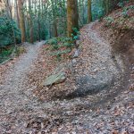 Sycamore Cove Trail Switchback