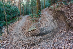 Sycamore Cove Trail Switchback