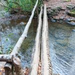 Big Creek Trail Bridge