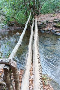 Big Creek Trail Bridge