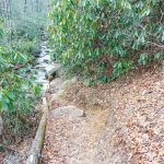 Big Creek Trail Sign