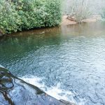 Fletcher Creek and Hendersonville Reservoir