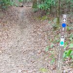 Fletcher Creek Trail at Spencer Branch Junction