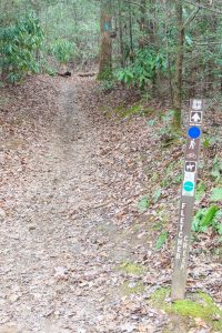 Fletcher Creek Trail at Spencer Branch Junction