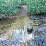 Fletcher Creek Trail Creek Crossing