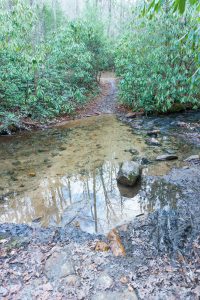 Fletcher Creek Trail Creek Crossing