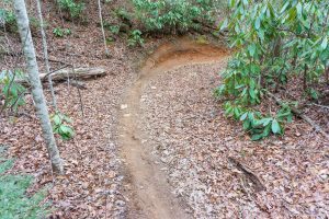 Fletcher Creek Trail Banked Turn