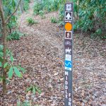 Middle Fork Trail Junction