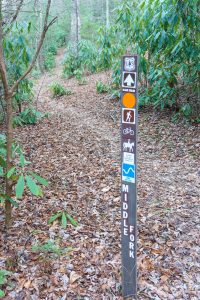 Middle Fork Trail Junction