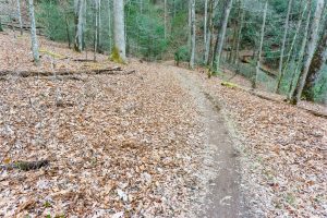 Fletcher Creek Trail Cove