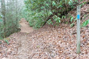 Start of Fletcher Creek Trail