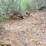 Rocky Section of the Fletcher Creek Trail