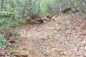 Rocky Section of the Fletcher Creek Trail