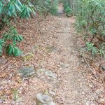 Rocky Section of the Fletcher Creek Trail