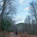 Hendersonville Reservoir Road Clearing