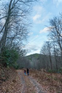 Hendersonville Reservoir Road Clearing