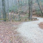 Hendersonville Reservoir Road Curve