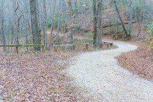 Hendersonville Reservoir Road Curve