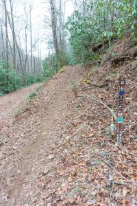 Start of Fletcher Creek Trail