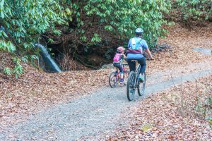 Riders on Hendersonville Reservoir Road