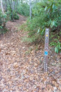 Spencer Branch Trail Start