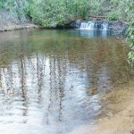 Fletcher Creek Arm of Hendersonville Reservoir